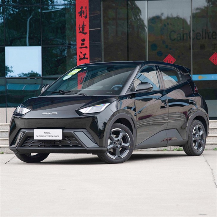 2024 BYD Seagull EV 405KM Mini Car