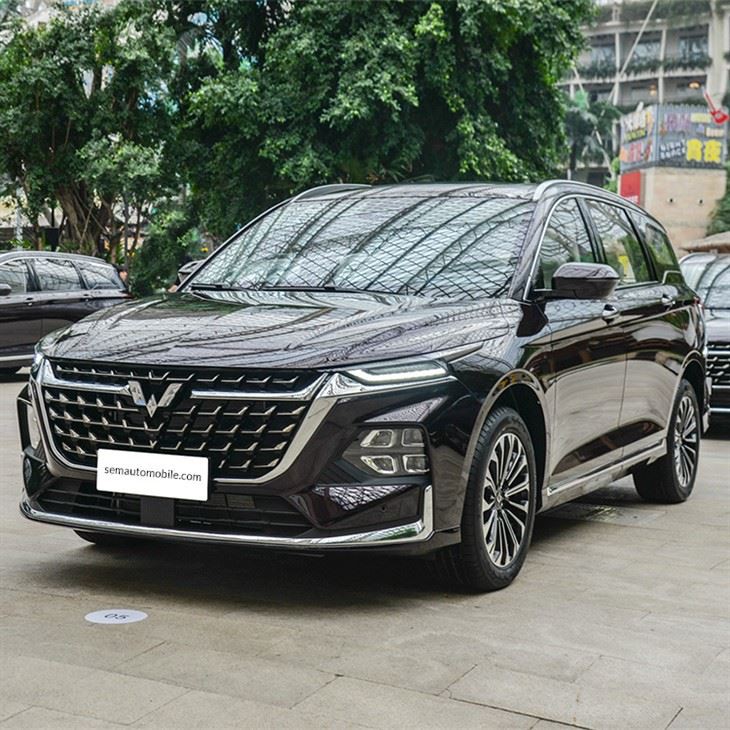 Saic-gm Wuling Capgemini MPV