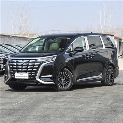 Минивэн Byd Denza D9 2024 года