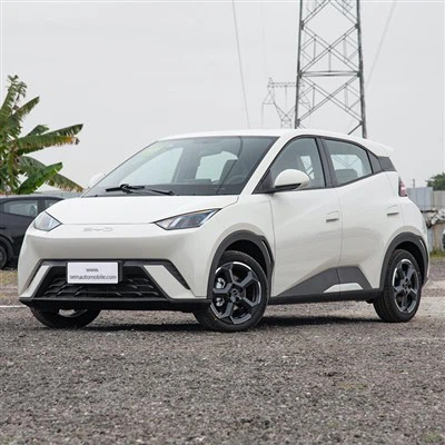 BYD Чайка Мини Эв