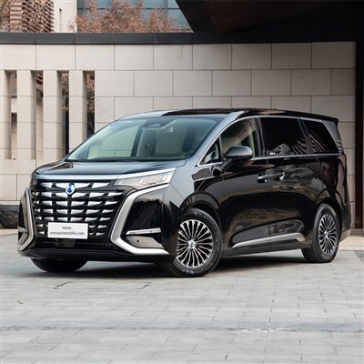 Denza D9 DM-I 4WD MPV