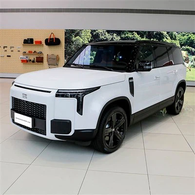ROX JISHI 01 6-Сиденье SUV